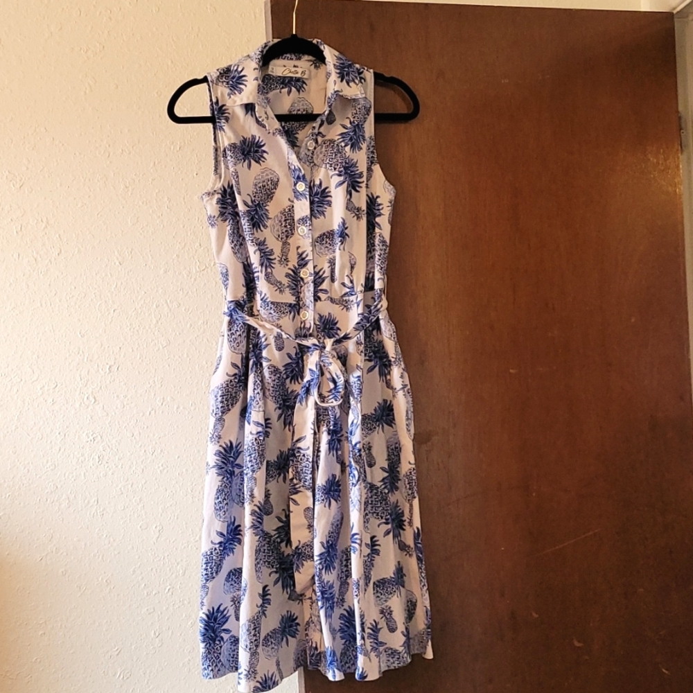 Pineapple Dress Sleeveless Size 12
